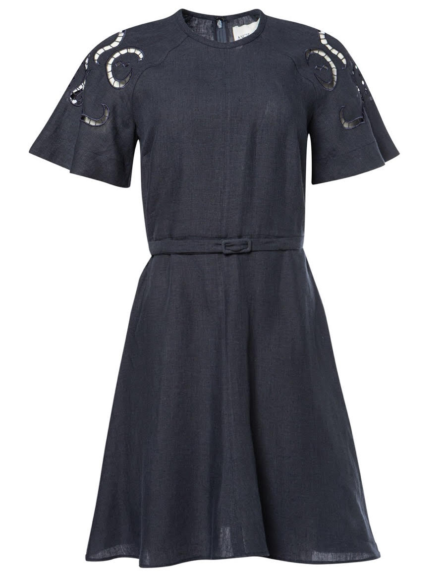 IPHIGENIA CUT EMBROIDERED MINI DRESS
